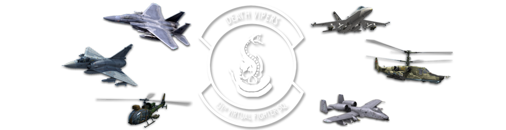Death Vipers — 131st Virtual Fighter Squadron